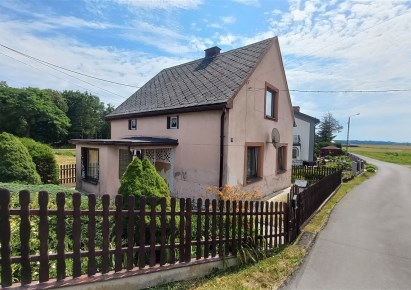 dom na sprzedaż - Gorzyce, Bełsznica