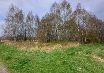 działka na sprzedaż - Wodzisław Śląski