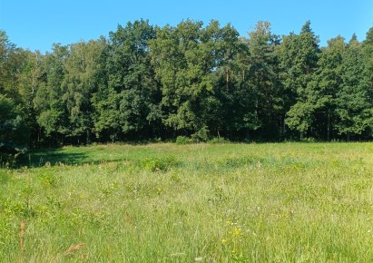 działka na sprzedaż - Nędza, Górki
