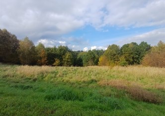 działka na sprzedaż - Wodzisław Śląski