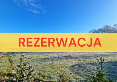 działka na sprzedaż - Wodzisław Śląski, Połomska