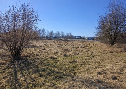 działka na sprzedaż - Gorzyce, Gorzyczki