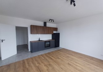 mieszkanie na wynajem - Katowice