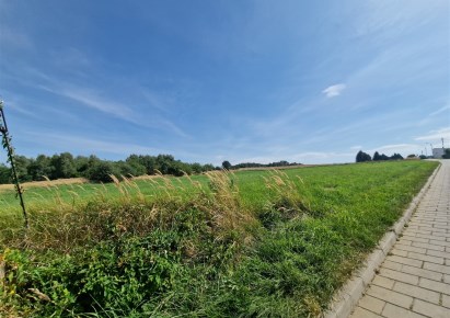 działka na sprzedaż - Rydułtowy
