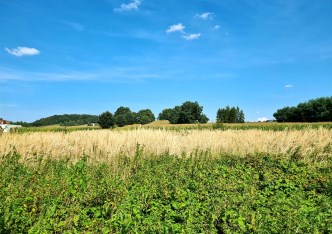 działka na sprzedaż - Godów, Podbucze